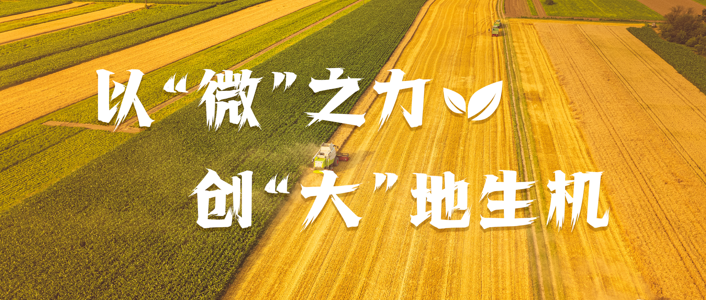 &#20048;&#40060;&#40;&#20013;&#22269;&#41;&#108;&#101;&#121;&#117;